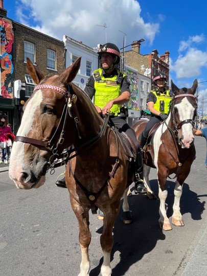 City of London Police Mounted Branch
