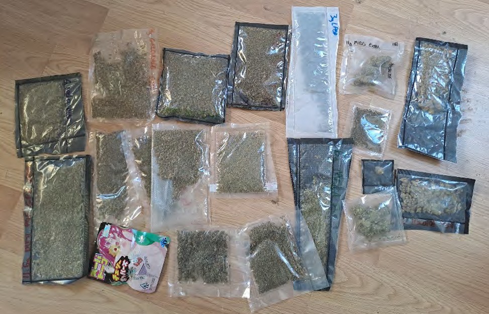 Image of the seized cannabis