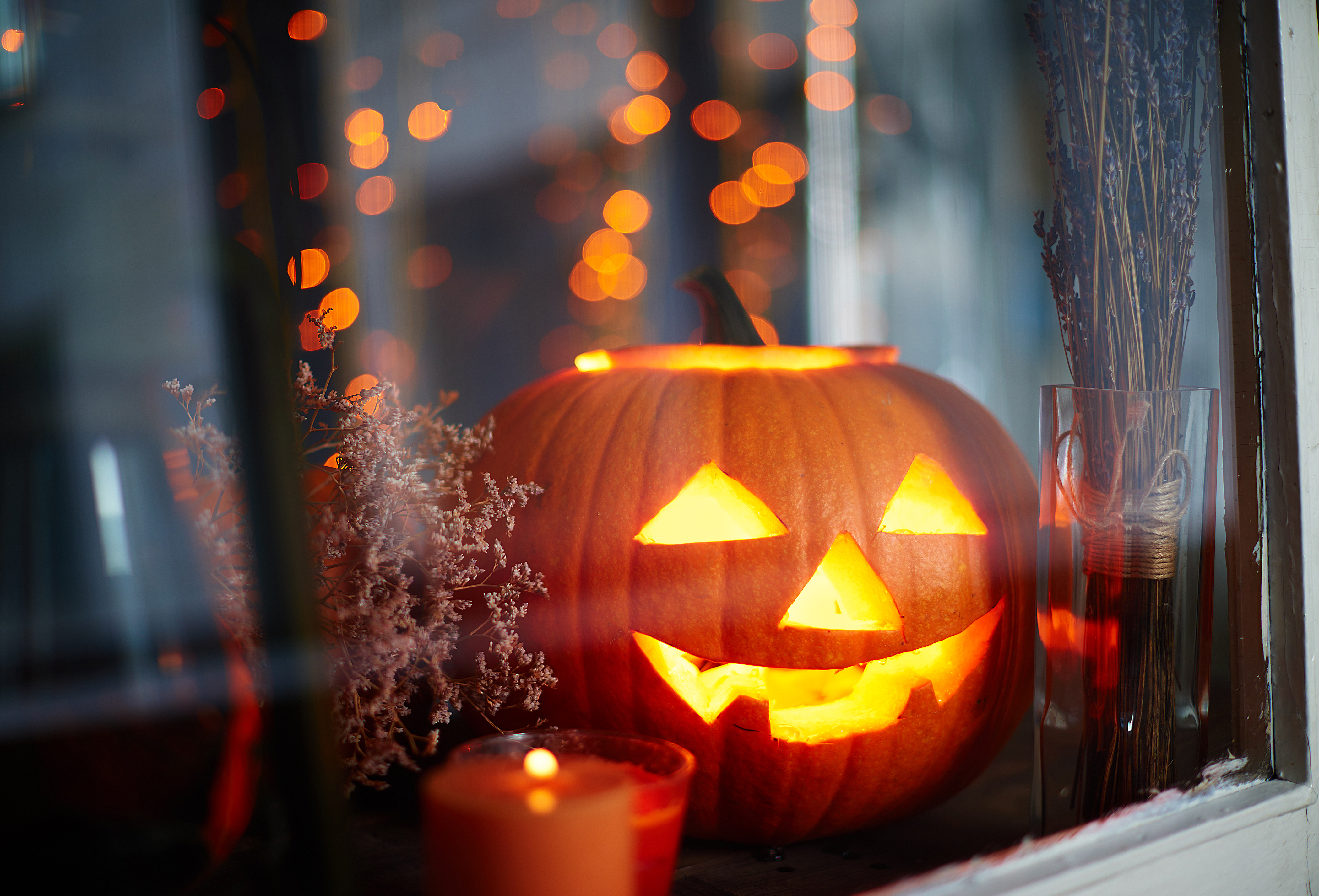 Pumpkin in window