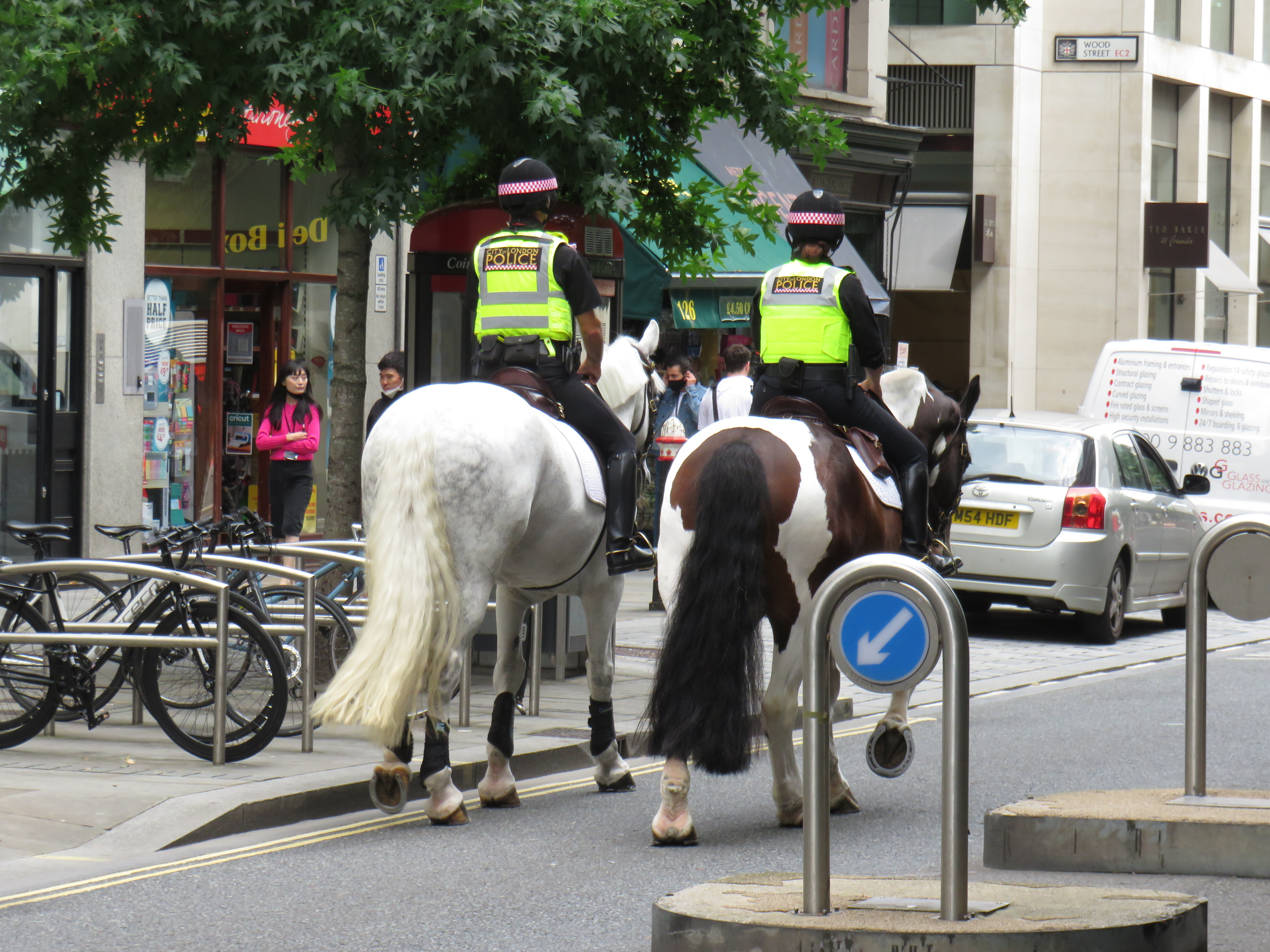Project Servator horses