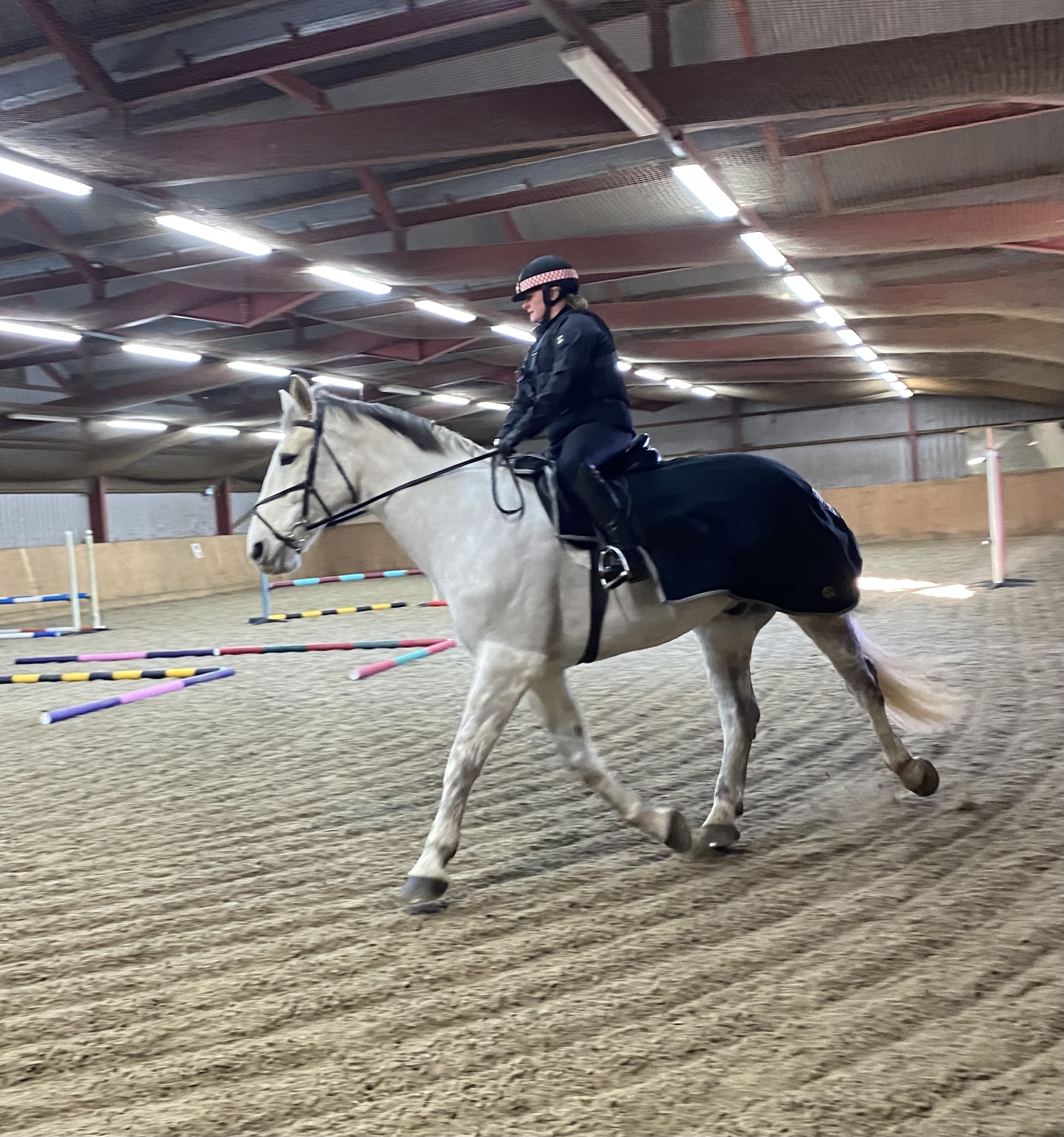 Horse and rider